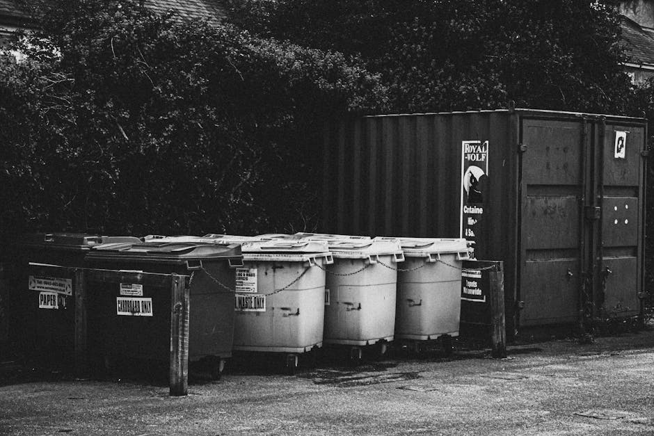 Black and white photograph showing a row of waste disposal bins and containers positioned outside a residential property. From left to right, there are three large, dark-colored wheelie bins labeled for paper recycling, followed by three white, smaller waste bins with lids, likely designated for general waste or recyclables. These bins are situated on a paved surface adjacent to a black shipping container or storage unit, which features a printed logo and contact details for Royal Molf waste services. The bins and containers are aligned along a wooden bollard and appear to be in the process of disposal or collection, with some bins slightly spaced apart to facilitate removal. The background includes dense foliage and part of a house or building, with natural lighting casting shadows on the ground and objects, indicating daytime. This scene illustrates typical arrangements for household rubbish collection, relevant to home removals and the disposal process during house relocation, as managed by companies like Man with Van Cricklewood.
